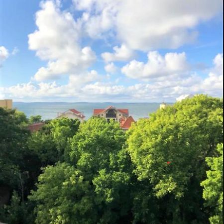 Appartement Vue Sur Baie Et Ocean, 100 M De La Plage Et Du Centre Par Chemin Prive アルカション エクステリア 写真