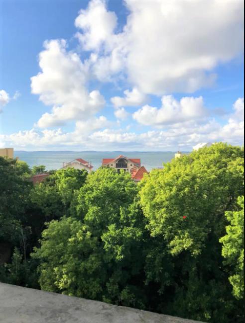 Appartement Vue Sur Baie Et Ocean, 100 M De La Plage Et Du Centre Par Chemin Prive アルカション エクステリア 写真