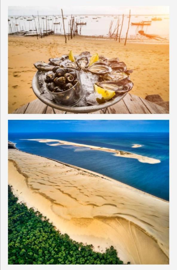 Appartement Vue Sur Baie Et Ocean, 100 M De La Plage Et Du Centre Par Chemin Prive アルカション エクステリア 写真